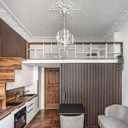 City Studio Apartment Apartment Vilnius