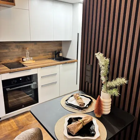 City Studio Apartment * Vilnius